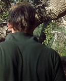 ARBR0267.jpg