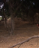 ARBR0268.jpg