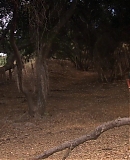 ARBR0270.jpg