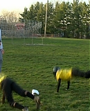 ARBR0004.jpg