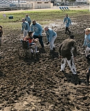 ARBR0276.jpg