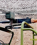 ARBR0085.jpg