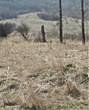 ARBR0045.jpg