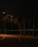 ARBR0830.jpg