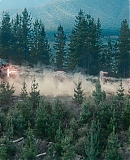 252.jpg